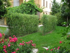 Orto e giardino (1)